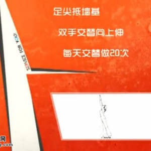 家政女皇20140604视频和笔记:吴大真讲壁虎爬墙治肩周炎,肩颈酸痛,番茄菜花
