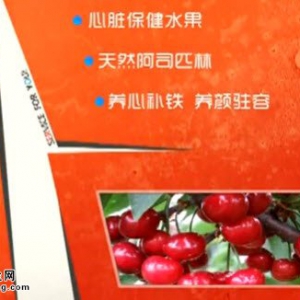 家政女皇20140606视频和笔记:陈允斌讲芒种养心抗衰老,芒种养生,樱桃药酒,乌梅的功效