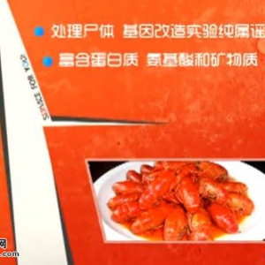 家政女皇20140609视频和笔记:王旭峰讲小龙虾的是非,辨别安全小龙虾,麻辣小龙虾