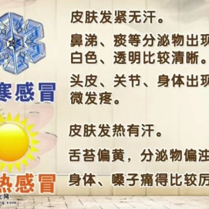 饮食养生汇20140609视频和笔记:李智讲感冒,寒包火,热伤风,流感,桂花酿炒年糕