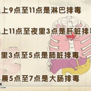 20140610饮食养生汇视频和笔记:李智讲熬夜的危害,便秘的危害,炸鱿鱼圈的制作方法