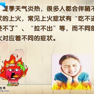 饮食养生汇20140611视频和笔记:李智讲上火,肝火,脾虚的表现,辣白菜炒虾仁