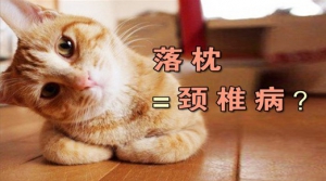 《养生堂》20140612视频和笔记:田伟讲让你的颈椎“活起来”2,落枕,颈部肌肉萎缩,颈椎操