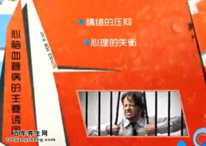 家政女皇20140613视频和笔记:陈允斌讲心血管疾病诱因,护心脑养心茶,冬瓜皮的功效