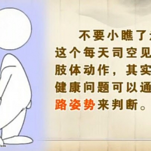 饮食养生汇20140613视频和笔记:王正义讲《走出来的健康》O型腿,X型腿,金针干贝酥
