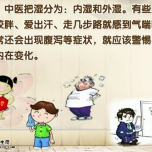 饮食养生汇20140617视频和笔记:王凤岐讲中医湿的类型、祛湿方法、荷塘小炒