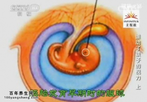 《健康之路》20140618视频和笔记：吴小影讲谁动了孩子的视力（上）