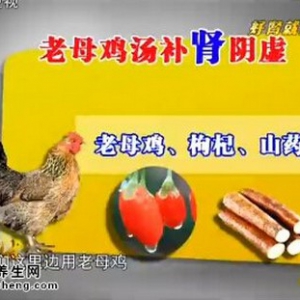 贵州卫视20140618养生视频和笔记:罗增刚讲肾阴虚、肾阳虚和肾气虚的症状及治疗