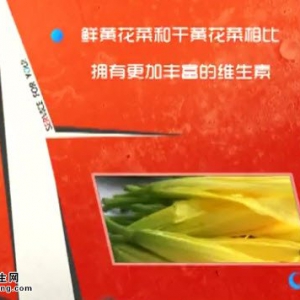 家政女皇20140624视频:左小霞讲黄花菜的功效,吃黄花菜的禁忌,红扒鱼翅的制作方法