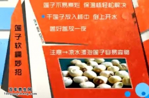 家政女皇20140626视频和笔记:刘钊讲莲子、莲房的功效、荷叶茶饮、莲子软糯的小妙招