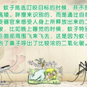 20140626饮食养生汇视频和笔记：刘钊讲蚊虫叮咬、防蚊妙招、西芹鱿鱼卷