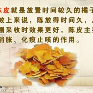 20140627饮食养生汇视频和笔记:刘钊讲水果中的废宝贝,荔枝核,陈皮土豆烧排骨