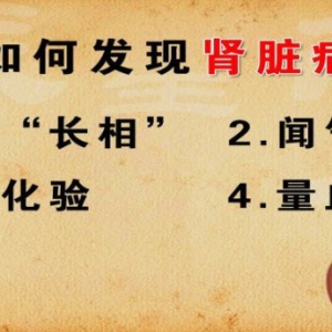 《养生堂》20140701视频和笔记:周福德讲尿常规,肾病,肾功能,慢性肾病