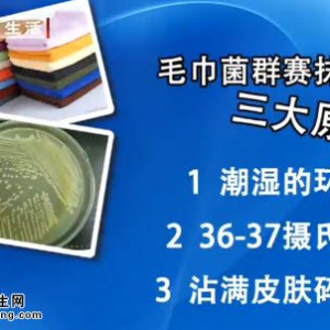 20140702健康生活视频和笔记:裴宇权讲致癌豆芽,心肌梗死前兆,肾型高血压,心悸