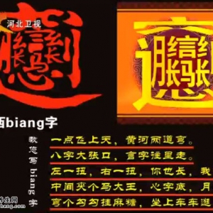 20140704家政女皇视频和笔记:王鸽子讲陕西biangbiang面,裤带面的制作