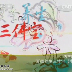 《健康之路》20140705视频笔记:孙维峰讲夏季养生三件宝(中),陈皮粥,四神粥,开胃汤
