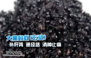 健康生活20140708视频和笔记:高铁铮讲关节炎,颈椎病,葛根白菊粥,激光针刀