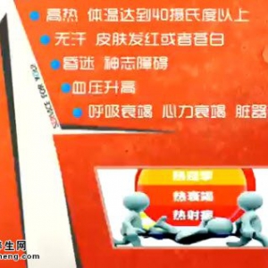 家政女皇20140709视频和笔记:刘钊讲中暑、热射病的危害、茴香炸素丸子