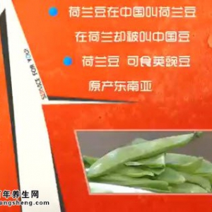 家政女皇20140710视频和笔记:左小霞讲豆角的功效、豆角新吃法、干煸豆角、酸豆角