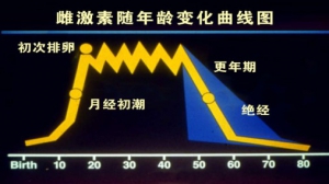 《养生堂》20140711视频:田秦杰讲女性健康指挥官,雌激素低下的病患,脊柱压缩骨折的表现