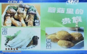 《健康之路》20140712视频和笔记:张晔讲松茸的功效,猴头菇的功效,竹荪的功效,竹荪减肥
