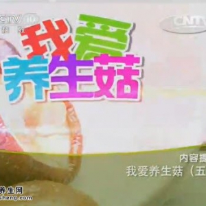 《健康之路》20140713视频和笔记:张晔讲杏鲍菇的功效,杏鲍菇素鲍鱼,鸡枞菌,佐餐酱,鸡腿菇