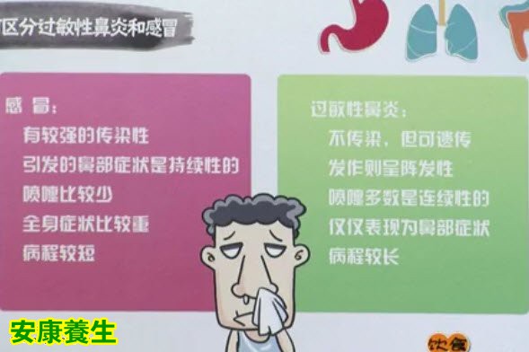 如何区分过敏性鼻炎和感冒