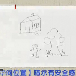 20140722我是大医生视频和笔记:抑郁症的特点,微笑型抑郁,激越型抑郁,自恋行为