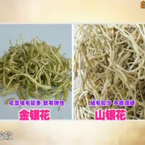 20140723贵州卫视养生视频和笔记：李智讲喝凉茶去火以及治疗失眠