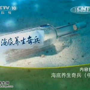 20140802《健康之路》视频和笔记:李忠讲牡蛎的功效,石决明降压方,黛蛤散