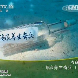 20140803《健康之路》视频和笔记:李忠讲珍珠美白滋润方,慈禧珍珠驻颜方,珍珠缓解失眠方