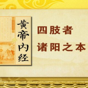 20140813《养生堂》视频和笔记:景录先讲手脚冰凉怎么调理,糖尿病的早、中、晚期症状