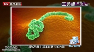 20140812我是大医生视频和笔记:高血脂症,真假深海鱼油鉴别,反式脂肪的危害