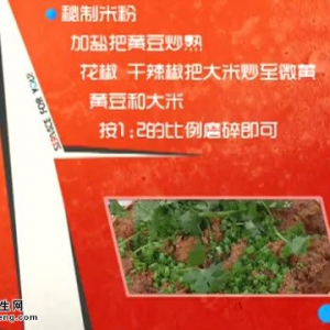 20140815家政女皇视频和笔记:王林讲粉蒸肥肠,尖椒鸡的制作方法