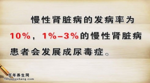 20140818《养生堂》视频和笔记:王杰讲肾病的症状,肾病的高危人群,补肾的食物
