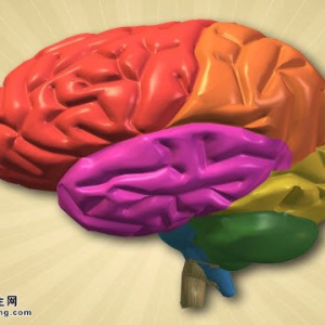 20140821《养生堂》视频和笔记:武剑讲阿尔茨海默症,脑卒中防治知识,认知功能障碍