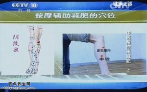 20140821《健康之路》视频和笔记:赵吉平讲中医减肥方法,贴耳穴巧减肥,艾灸巧减肥