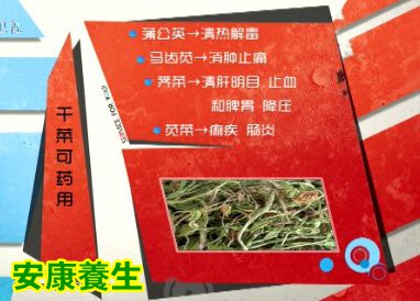 蒲公英的药用价值