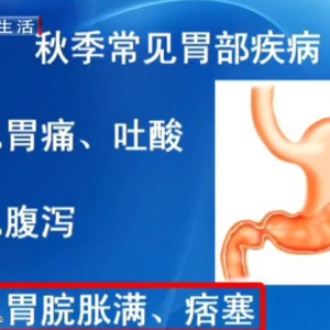 20140821健康生活视频和笔记:吴大真,王凤岐讲秋季常见胃病疾病,香苏饮,芡实炖南瓜