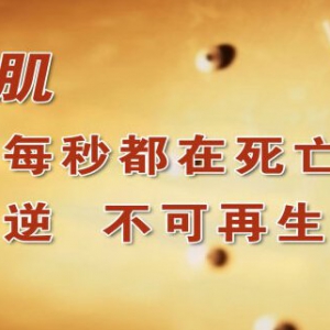 20140823《养生堂》视频和笔记:聂绍平讲急性心梗的急救,急性心肌梗死的诱因