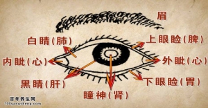 20140825《养生堂》视频和笔记:接传红讲眼睛的健康和五脏六腑的关系,石斛的功效