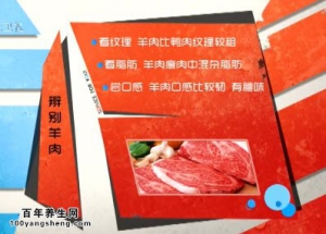 20140826家政女皇视频和笔记:王旭峰讲辨别真假羊肉,辨别真假羊腰,烤蔬菜的讲究