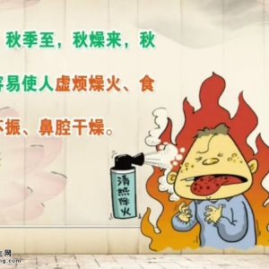 20140922饮食养生汇视频和笔记:刘钊讲秋季滋补药膳,贴秋膘的误区,菊花的功效