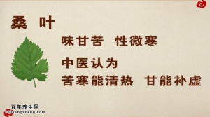 20140923《养生堂》视频和笔记:王玉英讲古方今用话桑叶,桑叶的功效与作用,桑叶饮