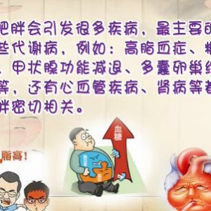 20140926饮食养生汇视频和笔记:陈瑞讲导致肥胖的原因,腹部减肥的运动,肥胖的危害