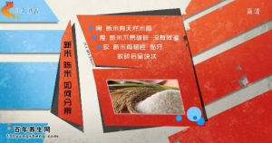 20140927家政女皇视频和笔记周末版:小米粥,花生酱,高粱的营养,小米油
