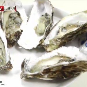 20140926健康生活视频和笔记:左小霞讲海参的家常做法,生蚝的做法