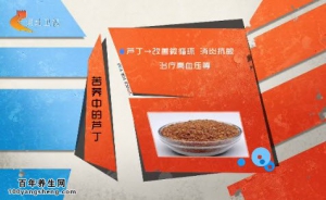 20140929家政女皇视频和笔记:张晔讲荞麦的功效,芦丁的功效,苦荞茶的功效,莜麦的功效