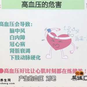 20140929饮食养生汇视频和笔记:金玫讲高血压注意事项,高血压危象,高血压的中医保健