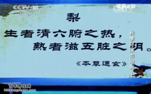 20140930《健康之路》 李乾构讲川贝蒸梨、五汁饮、陈皮的功效、陈皮山楂饮、荸荠的功效